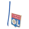 Short Olympique Lyonnais domicile Junior 2016/2017