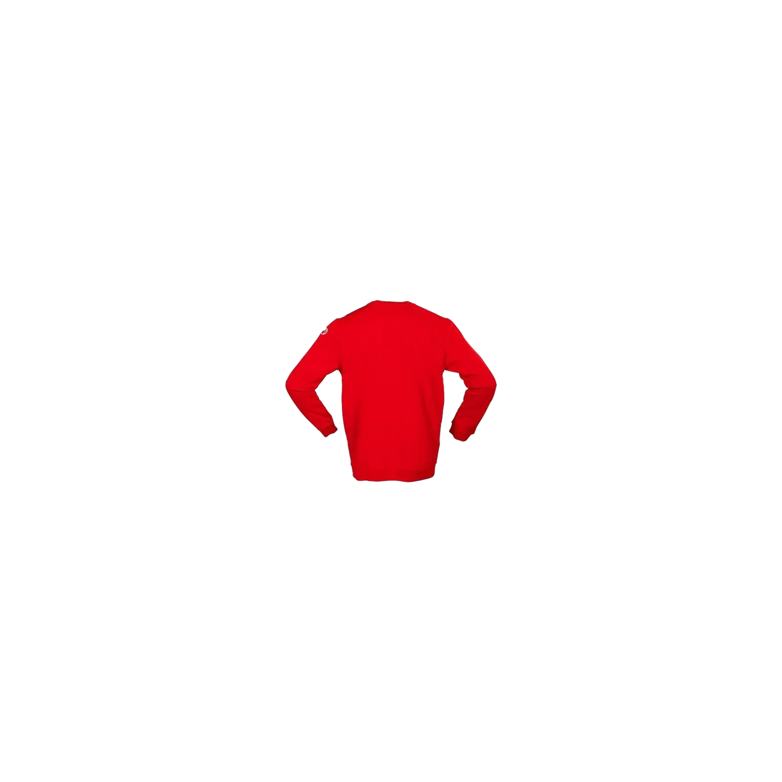 Sweat Uhlsport Basic