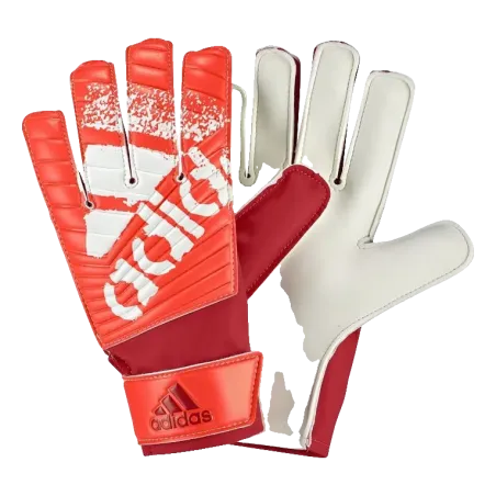 Gants X Lite
