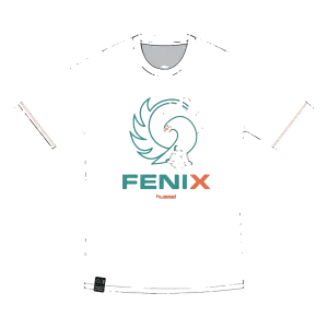 Tee shirt Fénix Toulouse