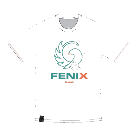 Tee shirt Fénix Toulouse