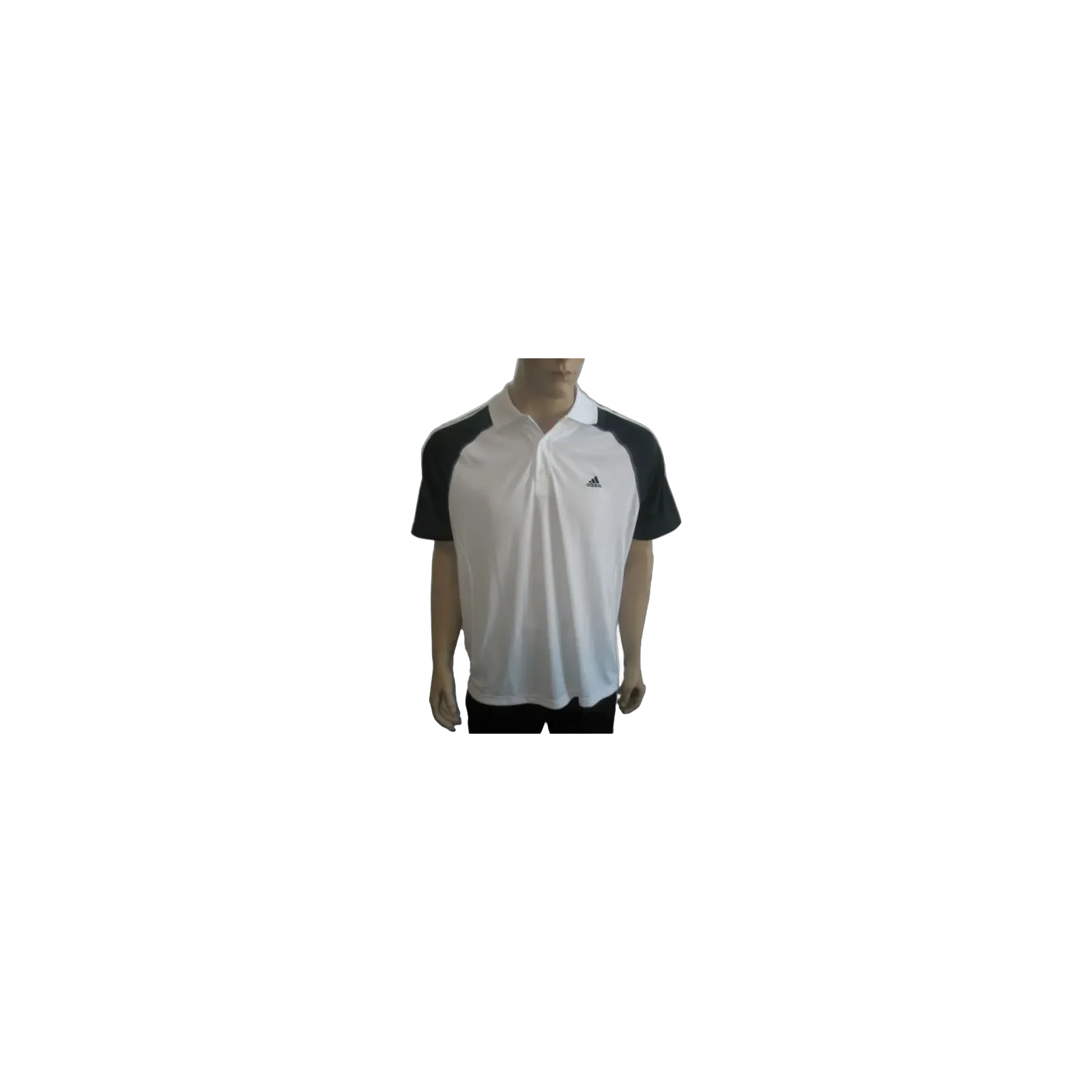Polo RSP CT