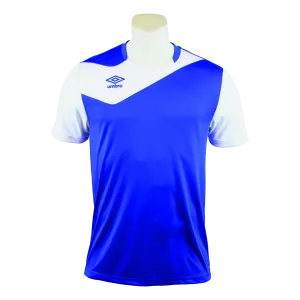 Maillot Division 1