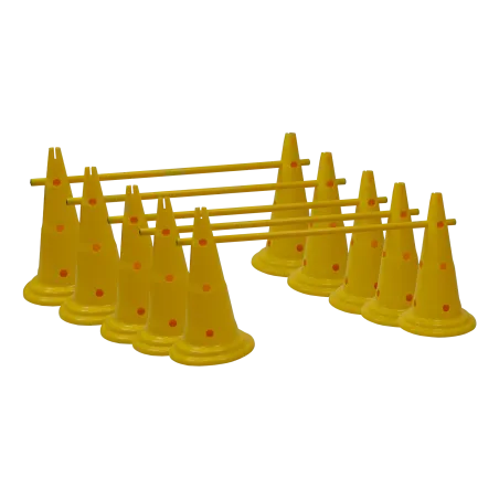 KIT C " Kit Multisaut hauteur 50 cm "