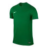 Maillot Park VI MC