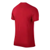 Maillot Park VI MC