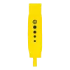 30 - Citron