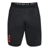 Short Raid 2.0 Graphic