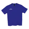 Bleu roy