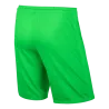 Short Nike League Knit gardien