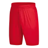 Short Palermo 2.0