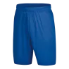Bleu roy
