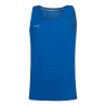 Bleu roy