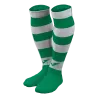 Chaussettes Zebra II