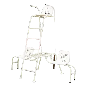 2 Chaises latérales