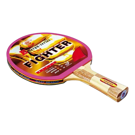 Raquette Fighter