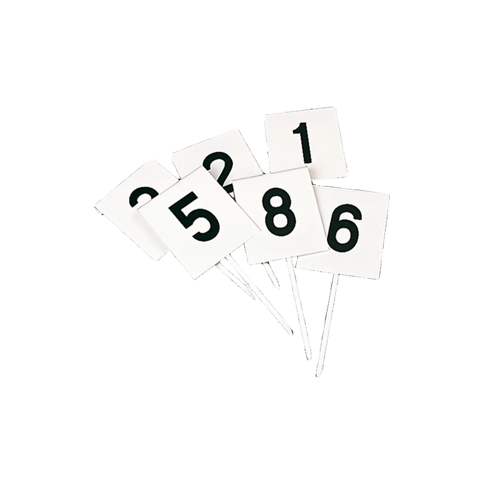 Fiches de marquage Rectangulaires Lot de 12