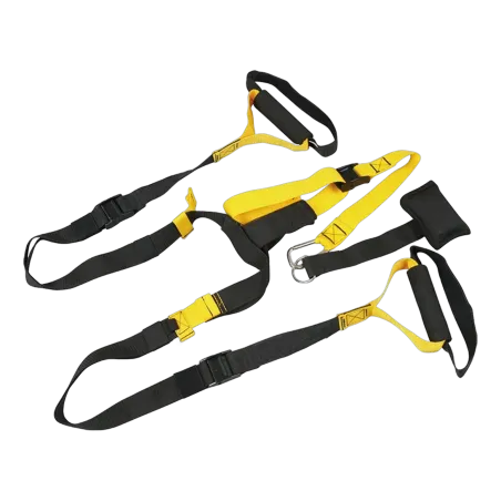 New Suspension Trainer