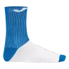 Bleu roy
