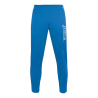 35 - Bleu roy
