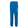 35 - Bleu roy