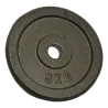 Poids disque en fonte 5 kg