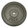 Poids disque en fonte 20 kg