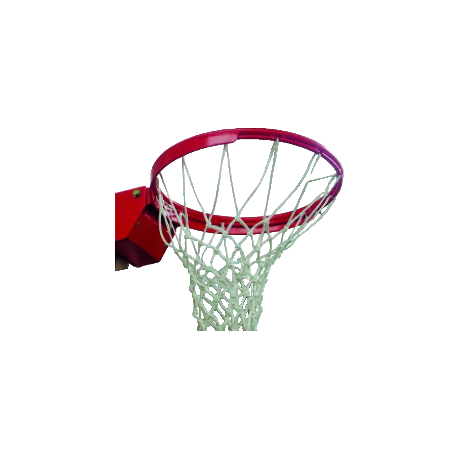 Cercle de Basket renforcé compétition