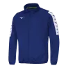 Bleu roy