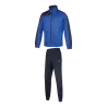 Bleu roy