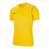 Maillot Park 20 Training Top