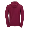 Sweat à capuche Graphic