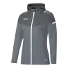 Gris pierre/Anthracite