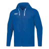 Bleu roy