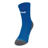 Bleu roy