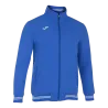 Bleu roy