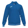Bleu roy