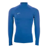 Bleu roy