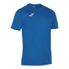 Bleu roy