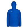 Bleu roy