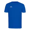 Bleu roy