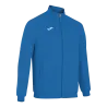 Bleu roy