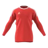 Maillot de gardien Revigo 17