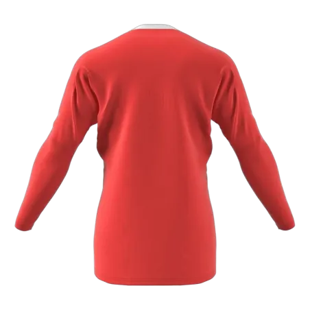 Maillot de gardien Revigo 17