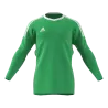Maillot de gardien Revigo 17
