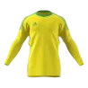 Maillot de gardien Revigo 17