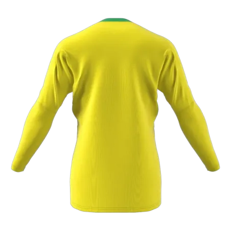 Maillot de gardien Revigo 17