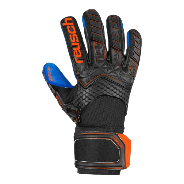 Gants de gardien Attrakt Freegel MX2