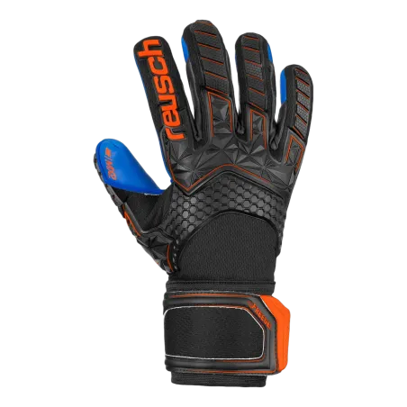 Gants de gardien Attrakt Freegel MX2