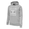 Sweat à capuche HMLiSam